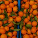 인의농장 이미지