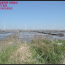 천일태양광발전소 이미지