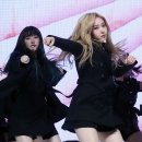 신비 이데일리