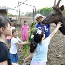 행복한사슴농장 이미지