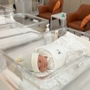 슬기세탁 | 남양주 다산 산후조리원 | 레피리움 시그니처 다산 | 슬기로운 조리원생활 🫶🏻