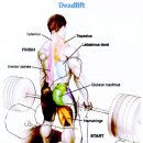 스미스케어 이미지