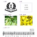 광희초등학교 이미지