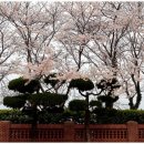 위민사 이미지