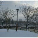 풍암호수공원 이미지