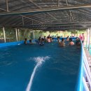 대구화원초등학교 이미지