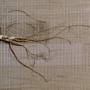 문강유황온천호텔(주) 이미지