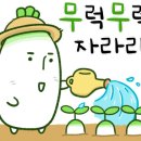 피노키오주유소 이미지