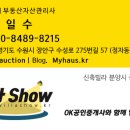 베가팰리스 이미지