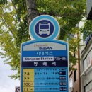 10월10일(금) 함박산 달음산 이미지