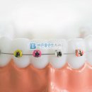 바른플란트치과교정과치과의원 이미지