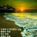 3월4일 토요일 제주사랑방 아침인사 이미지