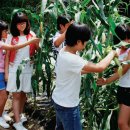 상면체육관 이미지