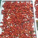 농부의 열매 이미지