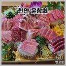 윤.세우다