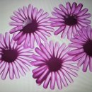 아크릴화(야간) 이미지