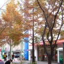 아리랑핫도그정관점 이미지