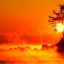 멍멍하니? 이미지