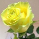 산아래농장 이미지