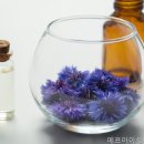 에프아이성형외과의원 네이버블로그