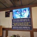 왔다강장어 이미지