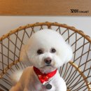 미용하고 가개 이미지