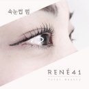 르네41