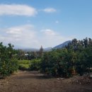 민성이네 농장 이미지