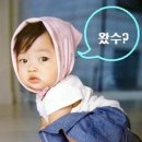 토 욜 스 ㅋ ㅔ 줄 이미지