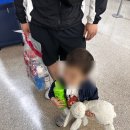 (주)패밀리퍼스트 | 19개월 아기랑 오키나와 여행 준비물 👶 | 현실 육아여행 짐싸기 후기