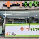 동물병원 건너편 이미지