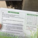 석동태화약국 이미지