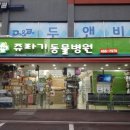 쥬라기동물병원 이미지