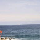 시민반점 | [경북 영덕] '항구반점' 로컬 맛집의 정수, 이 중국집만 방문하는 이유 솔직 후기 내돈 내산