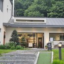 메리도그하우스 이미지