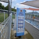 광주 애견 카페 장성 게르메스 방문 후기