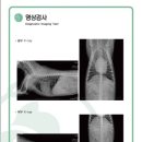 뉴엘동물의료센터 이미지