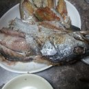 정든식당 티스토리