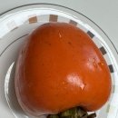 땅스부대찌개고양