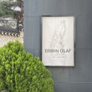 Ewin Olaf 어윈 올라프 작고 1주기 회고전 - 공근혜 갤러리 전시 후기