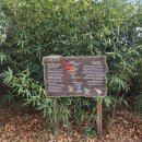 선비약국 이미지