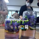소셜앤비즈 Daum카페