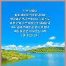911 법칙. 스티브 잡스. 내가 바보야 이미지