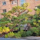 렉슬빌라 이미지