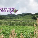 정구농장 이미지