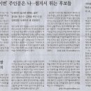 옐로나라 이미지