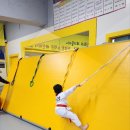 상록키즈태권도 이미지