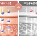 디엠컴퍼니 이미지