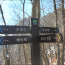 낙조대 네이버블로그