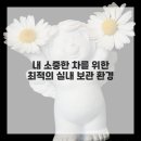 맘실내 이미지